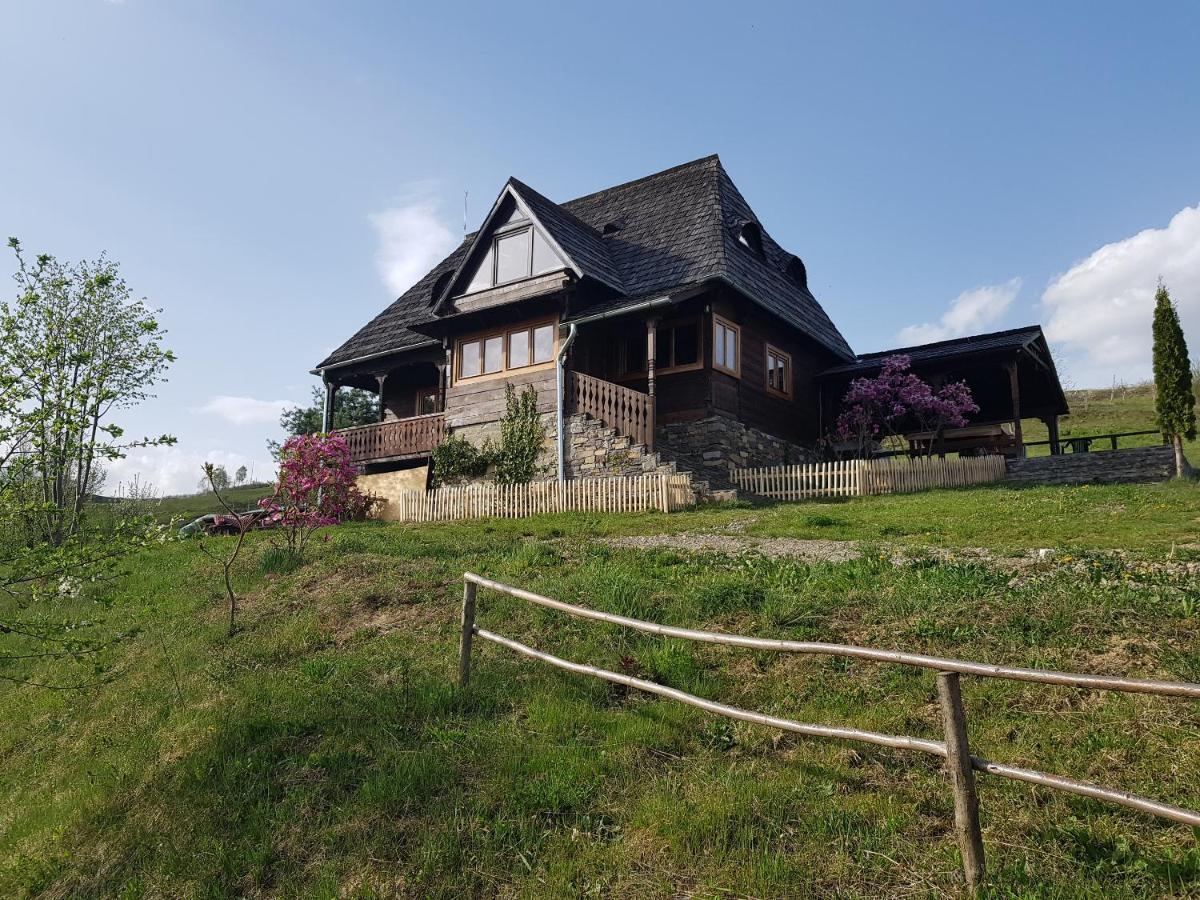 Ninga Rai Villa Poienile Izei Exterior photo